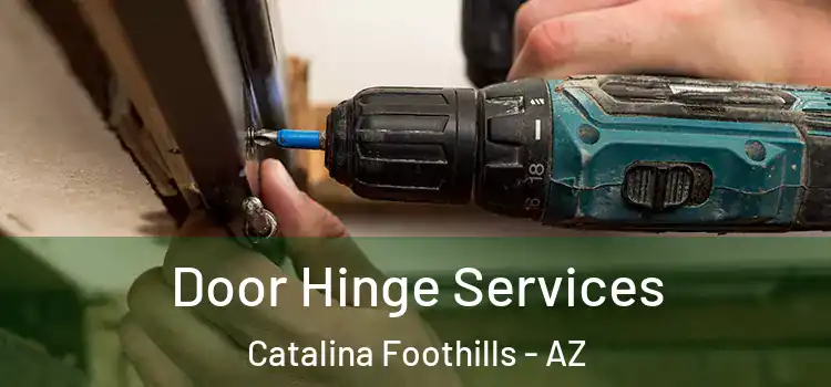  Door Hinge Services Catalina Foothills - AZ