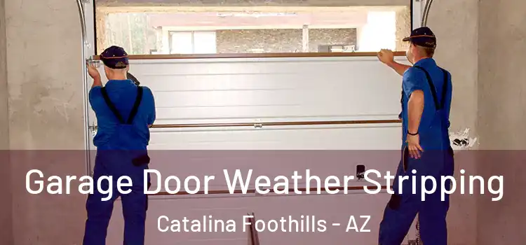 Garage Door Weather Stripping Catalina Foothills - AZ