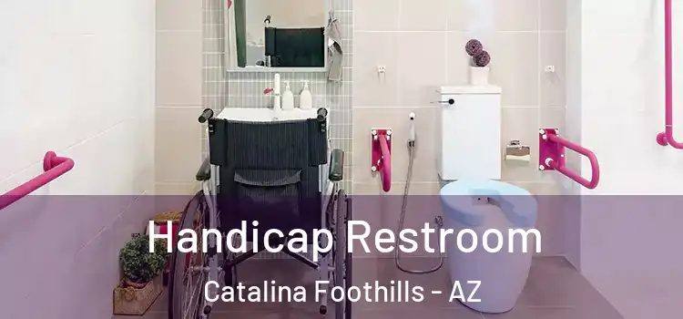 Handicap Restroom Catalina Foothills - AZ
