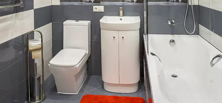 Hansgrohe Shaving Mirror Catalina Foothills